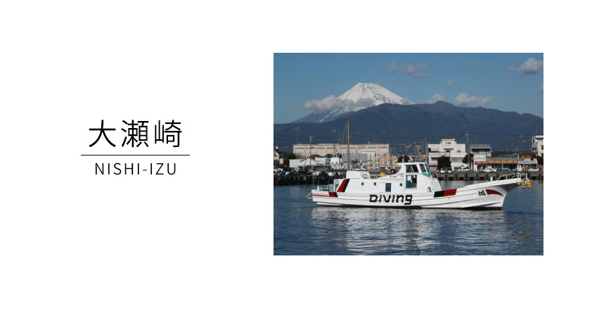 ボートダイビング城