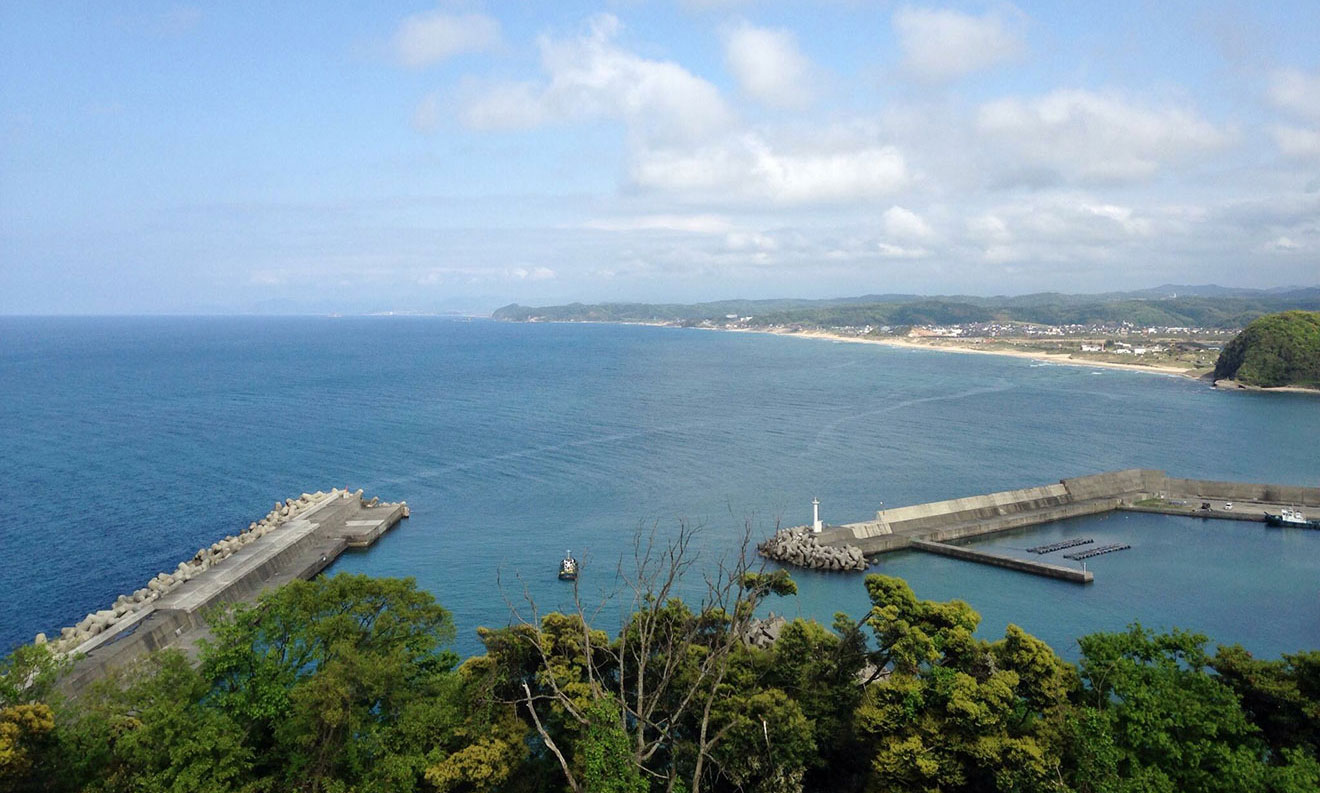 はじめまして、今嶋です。”海女”を志したキッカケ。