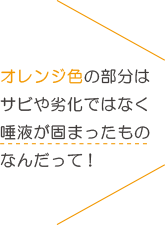 オレンジ色の部分はサビや劣化ではなく唾液が固まったものなんだって！