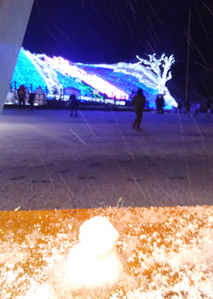 鳥取県の雪