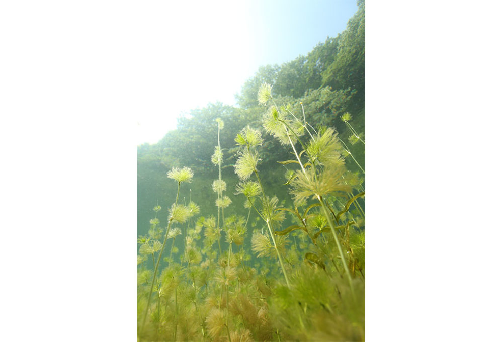 post-iwama190514-09