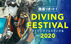 徹底リポート！ダイビングフェスティバル2020