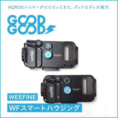 WF スマートハウジング WFH06#10516 WEEFINE fiskeye