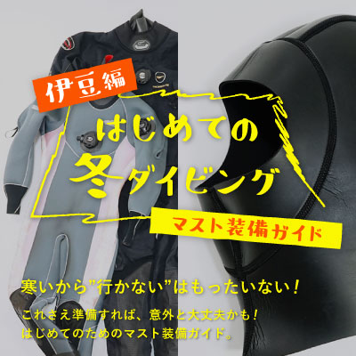 寒いから”行かない”はもったいない！はじめての冬ダイビング【伊豆編】