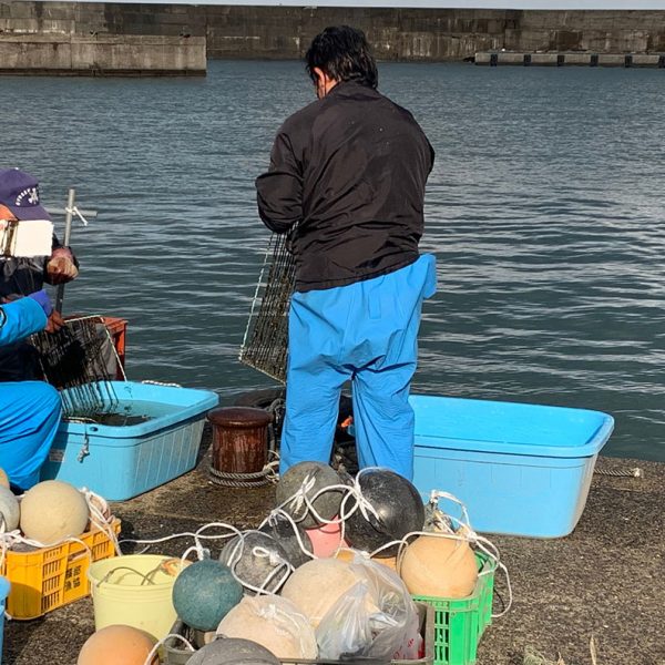 今シーズンの潜水漁が終わりました