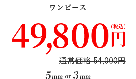 ワンピース ４９,８００円