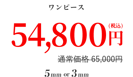 ワンピース ５４,８００円