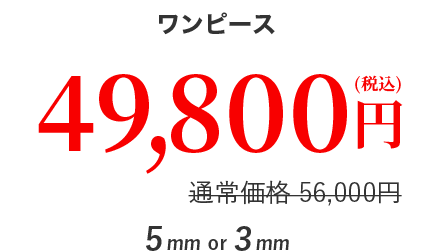 ワンピース ４９,８００円