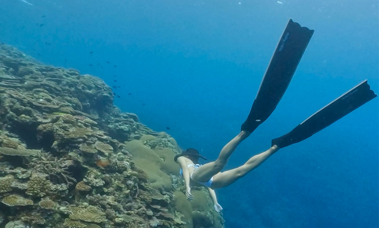 カーボンフィン | Diving＆Snorkeling AQROS（アクロス）