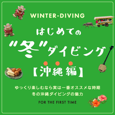 寒いから”行かない”はもったいない！はじめての冬ダイビング【沖縄編】