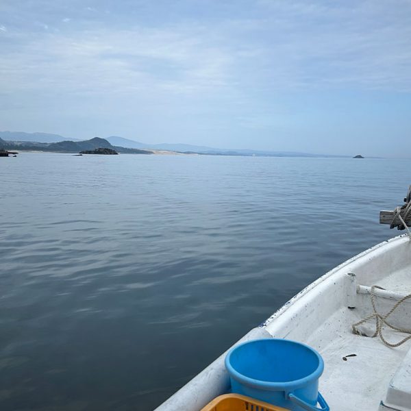 冷たい春の海