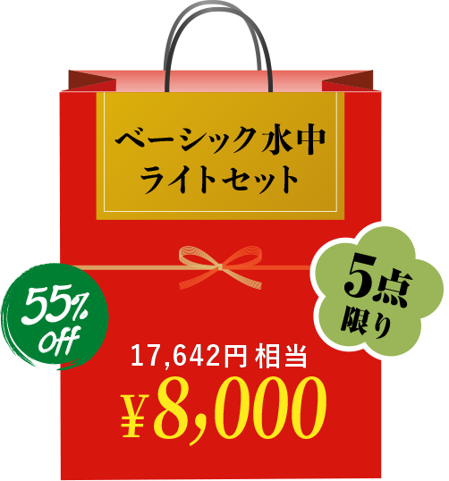 ベーシック水中ライトセット