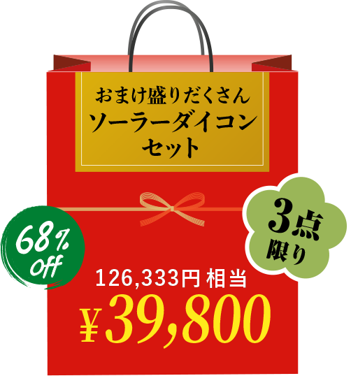 おまけ盛りだくさんソーラーダイコンセット