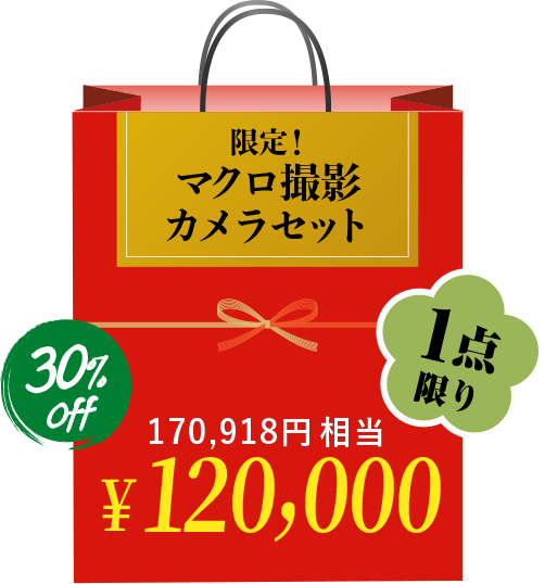 限定！マクロ撮影カメラセット