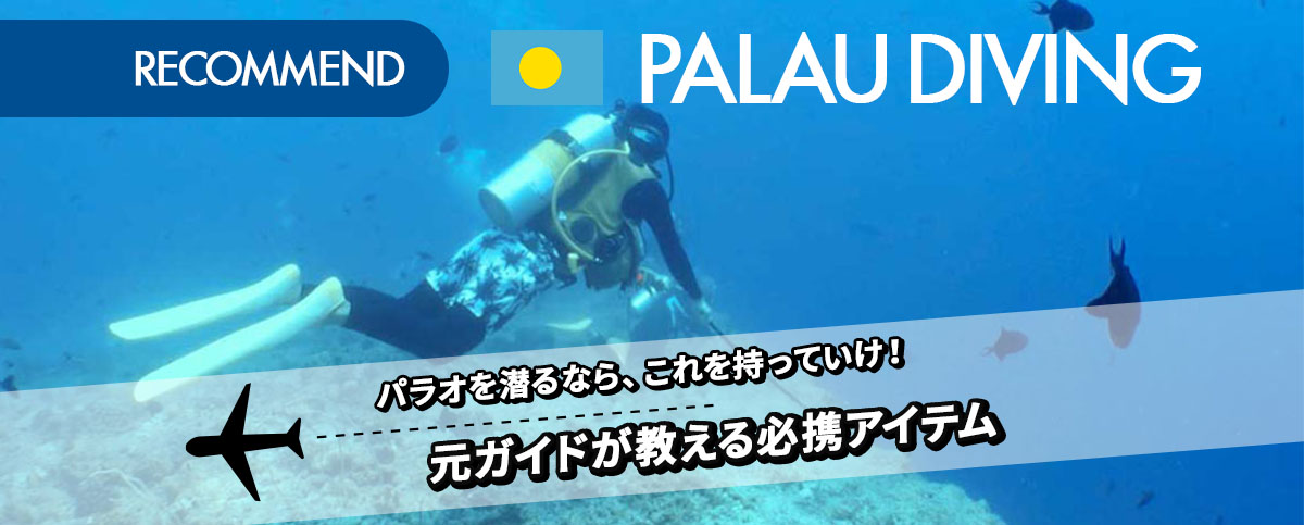 パラオを潜るなら、これを持ってけ！元ガイドが教える必携アイテムのメイン画像