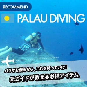 パラオを潜るなら、これを持っていけ！元ガイドが教える必携アイテム